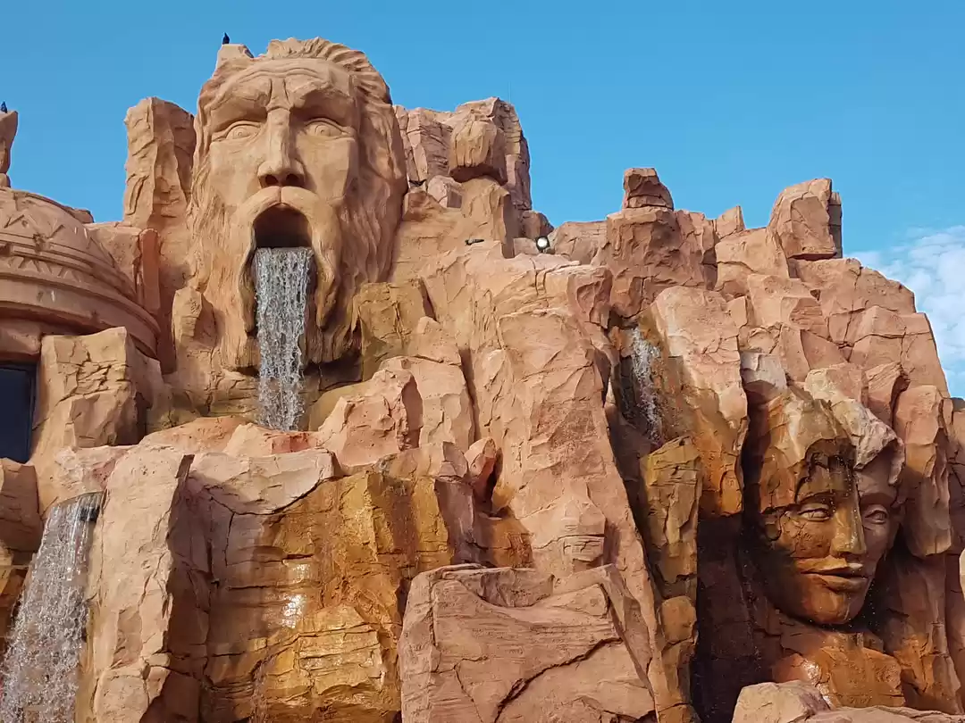 Photo of MY TRIP TO FLORIDA,