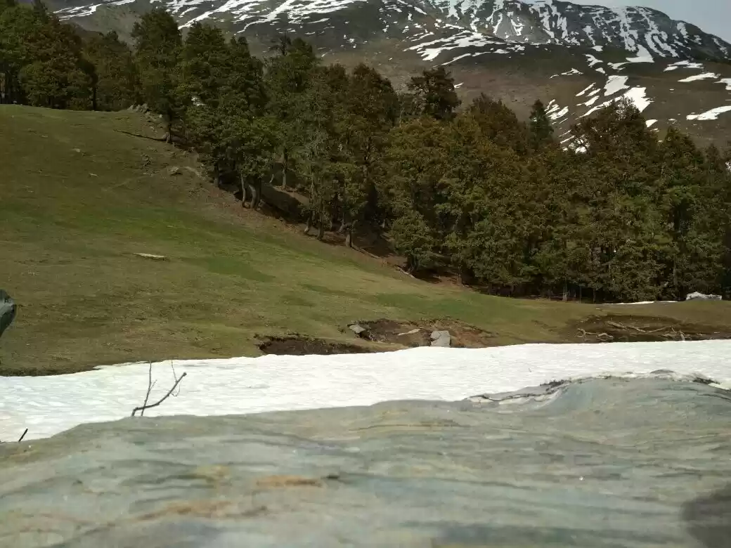 Photo of Patalsu Peak Trek : 