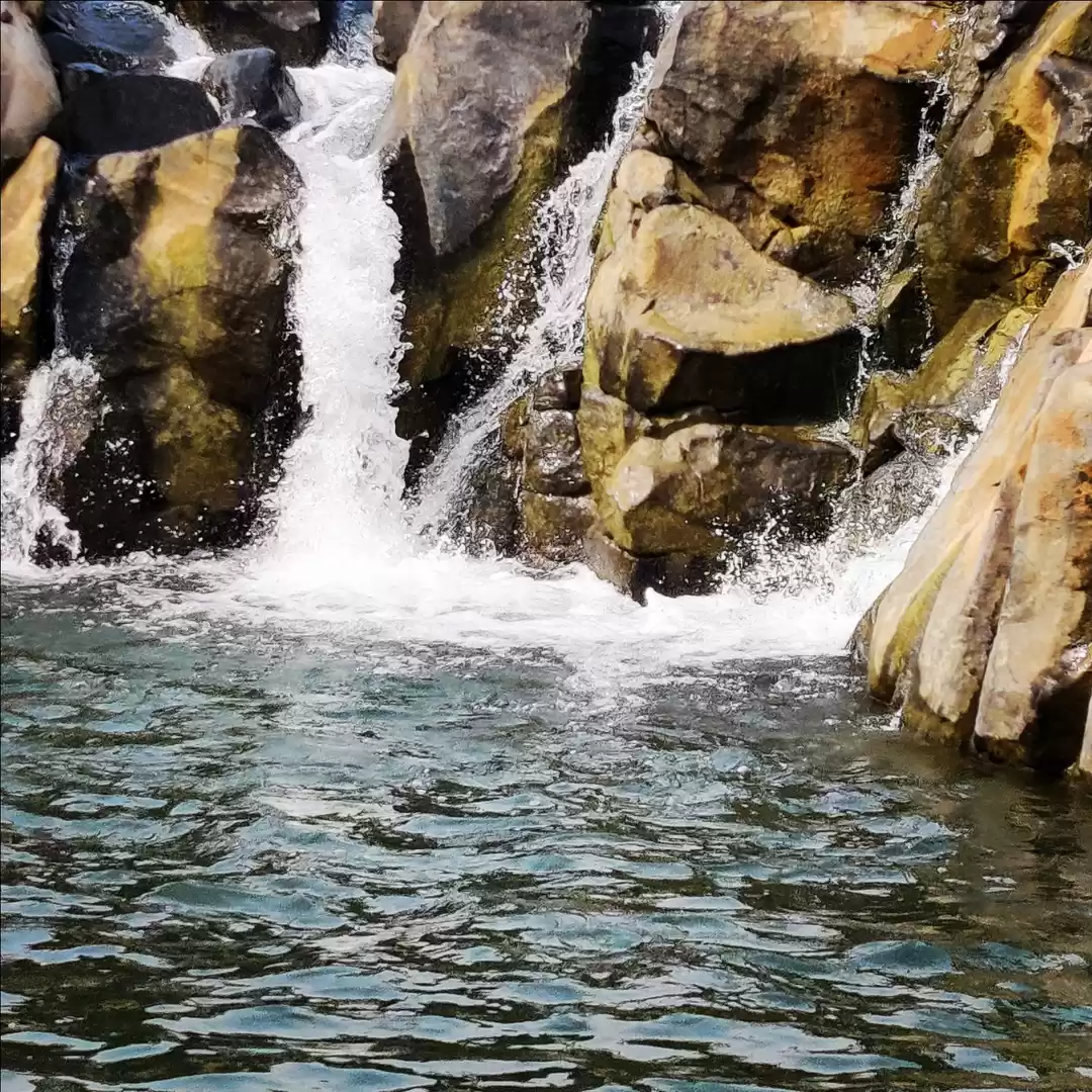 Photo of Nature's surprise