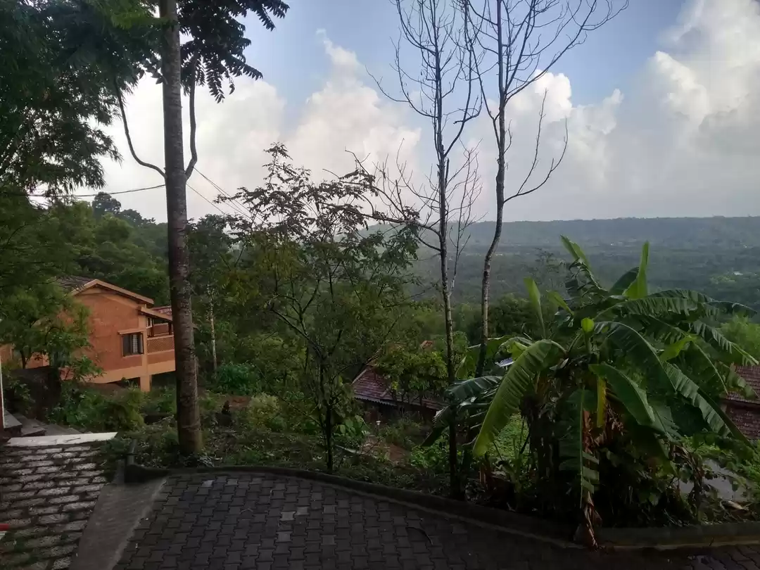 Photo of Hidden gems of Manga