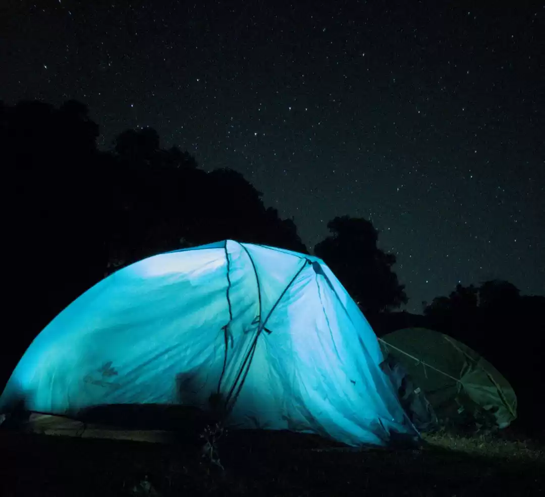 Photo of Mini Adventurous tre