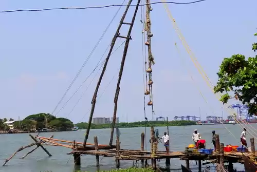 Photo of Go Green in God's ow