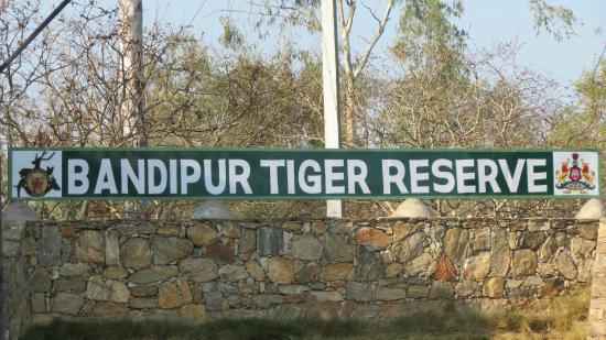 Photo of Double treasures of Southern India..... wildlife paradise!!!