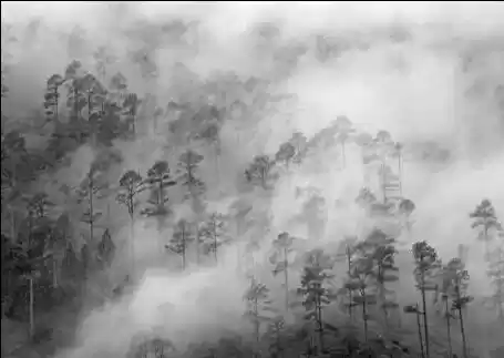 Photo of Hidden Gems of Uttar