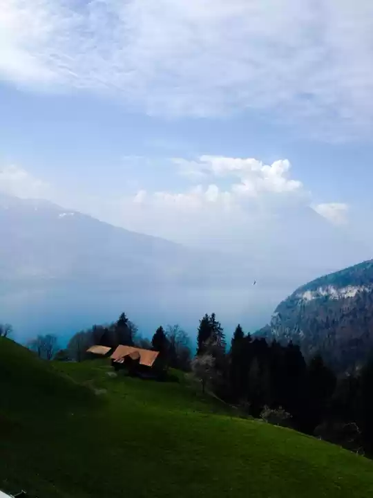 Photo of The World.. Oh Well 