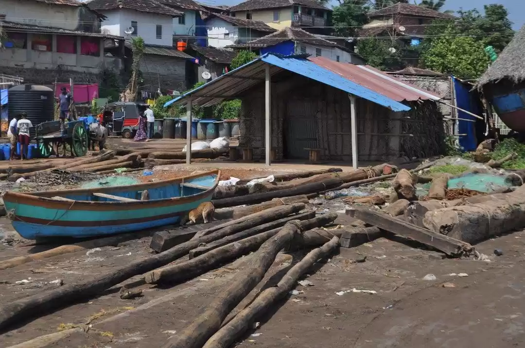 Photo of Fish Auction at Harn