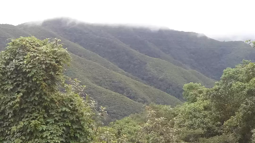 Photo of Imphal to Morey : a 