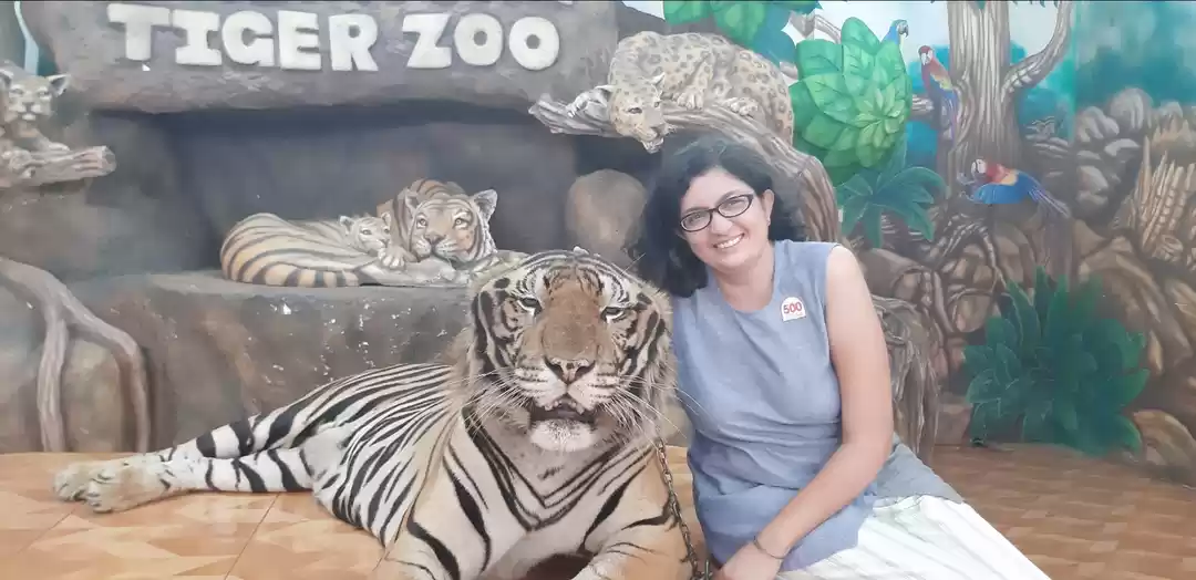 Photo of Thailand: a myriad o