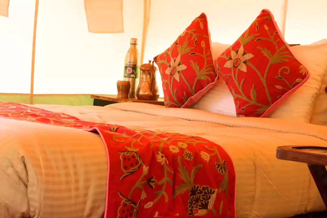 Photo of Camping in Sonmarg, 