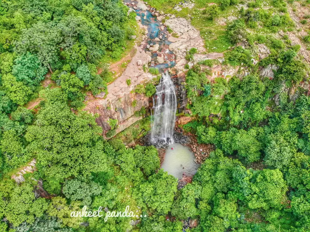 Photo of Debrigarh Wildlife S