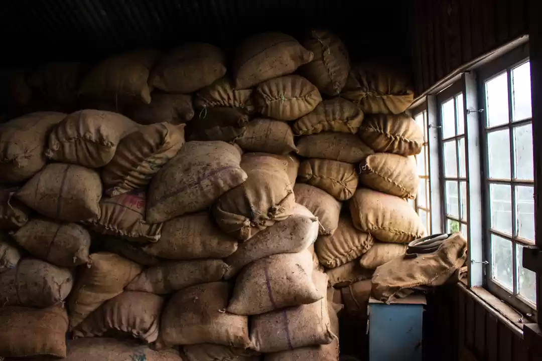 Photo of A Monsoon Trek to Me