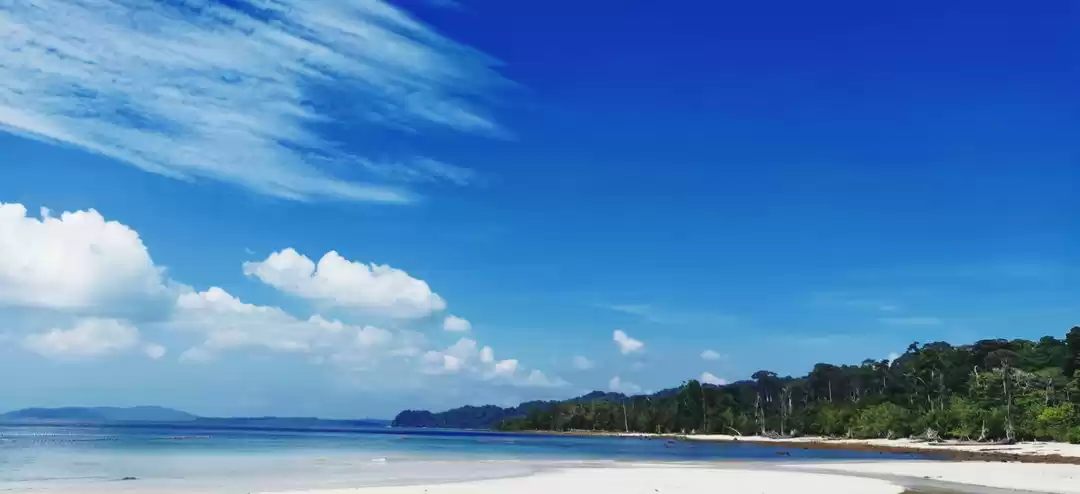 Photo of Elephant Beach - And