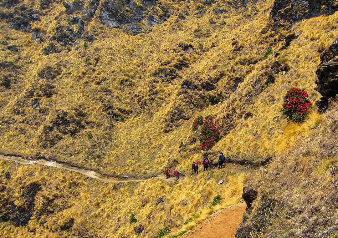 Photo of A simple yet beautif