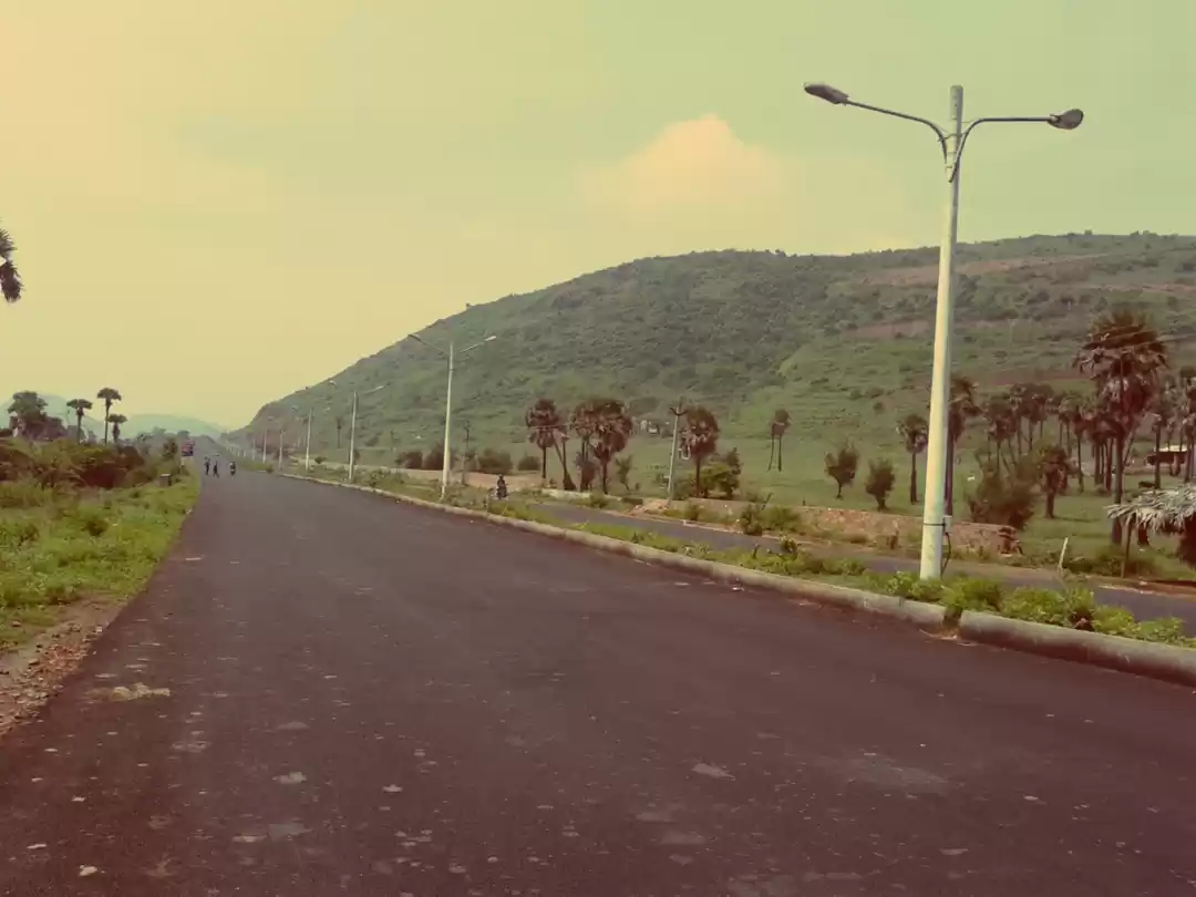 Photo of A coastal kiss:Kochi