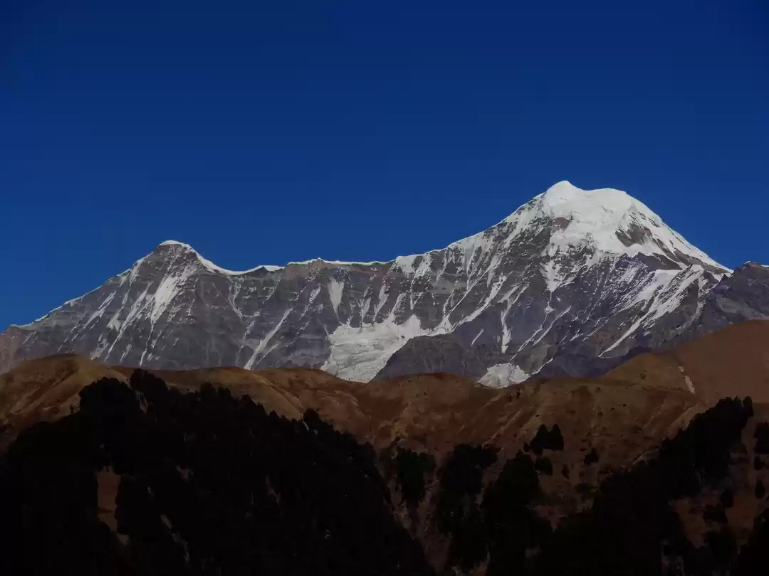 Photo of Dayara Bugyal with a
