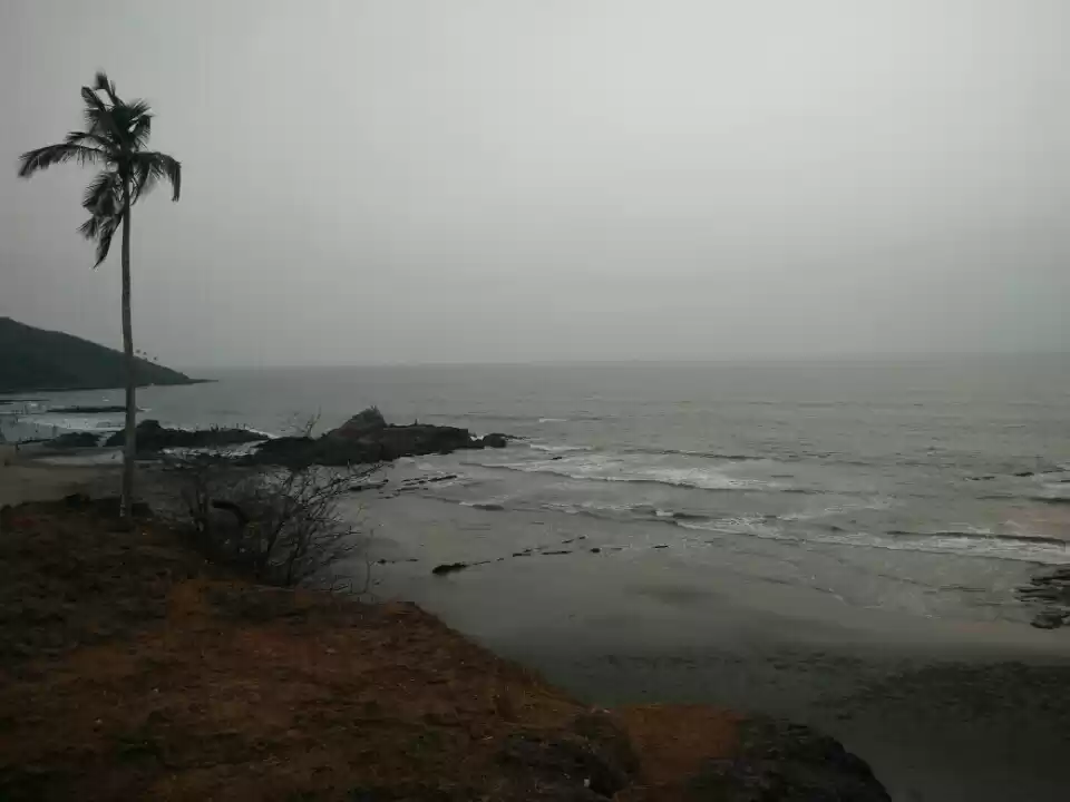 Photo of Travel at a whim!