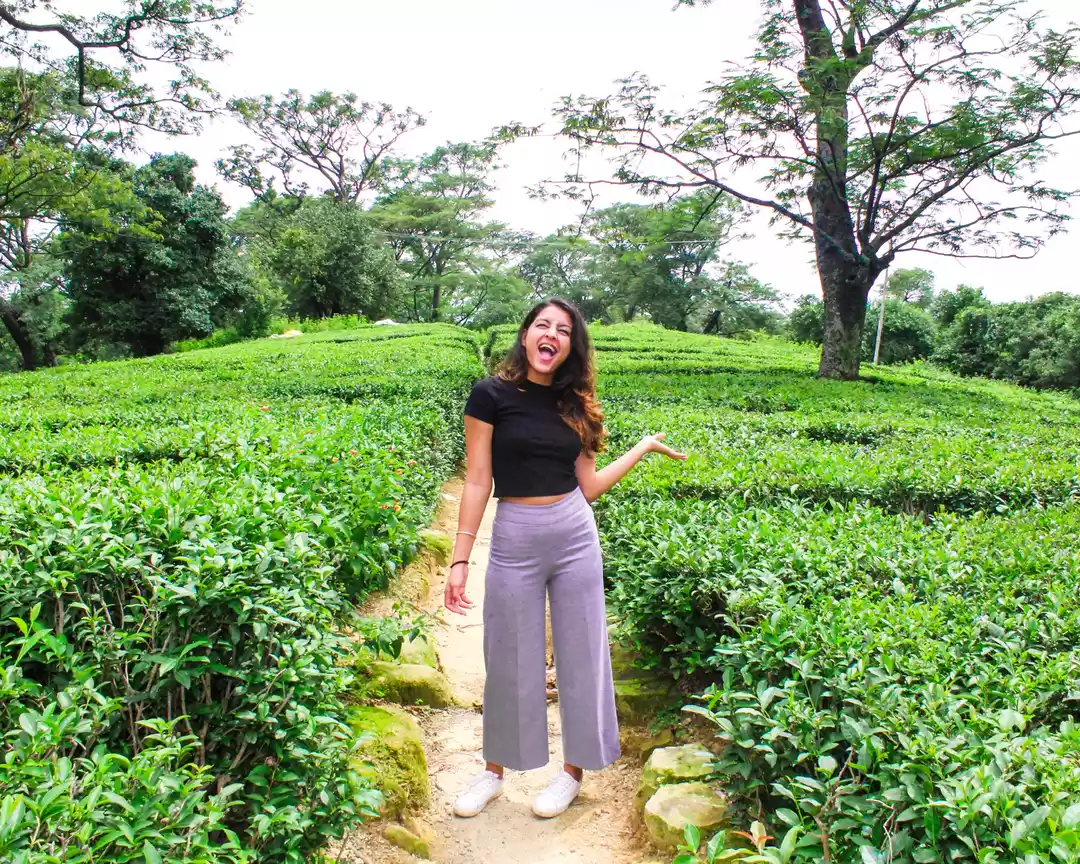 Photo of I Was Confused, But 