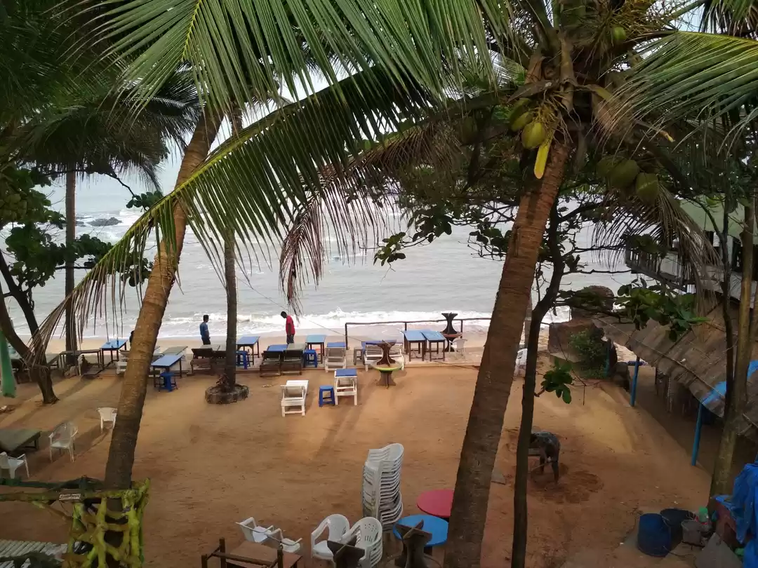 Photo of Goa's favorite Curli