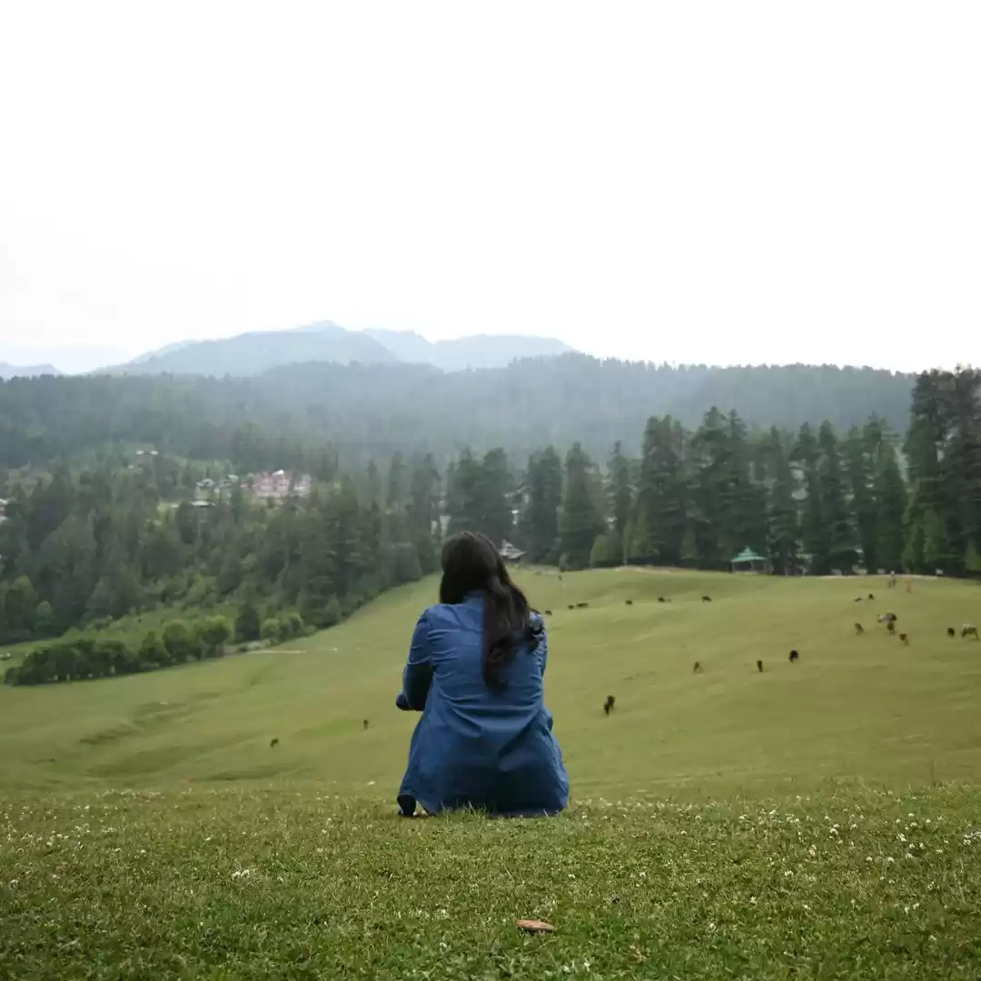 Photo of The land of meadows 
