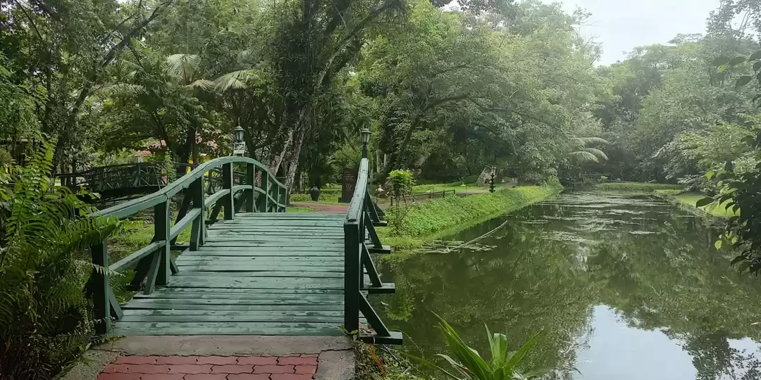 Photo of From Rum to Responsi