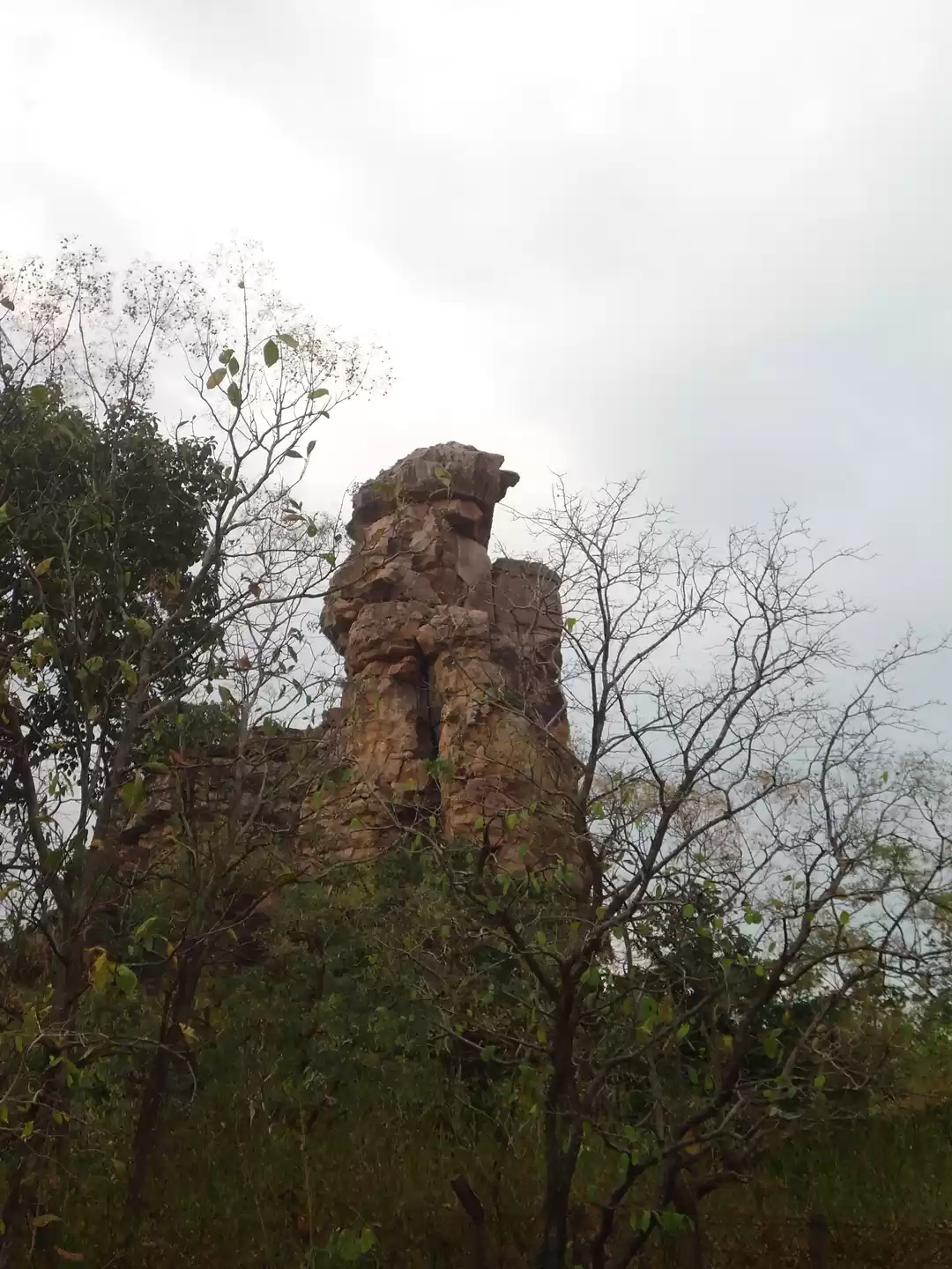 Photo of Journey back in time