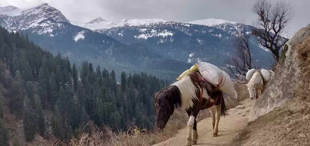 Photo of Kheerganga : a lifet