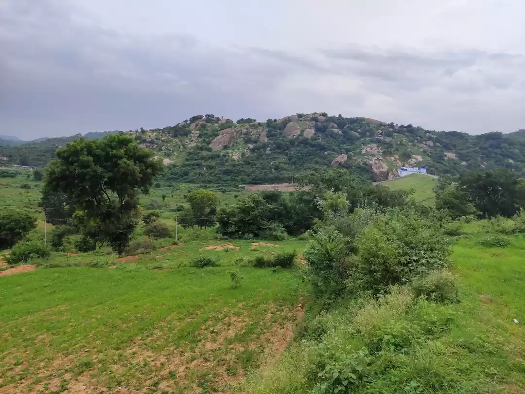 Photo of Manchabele Dam -A da