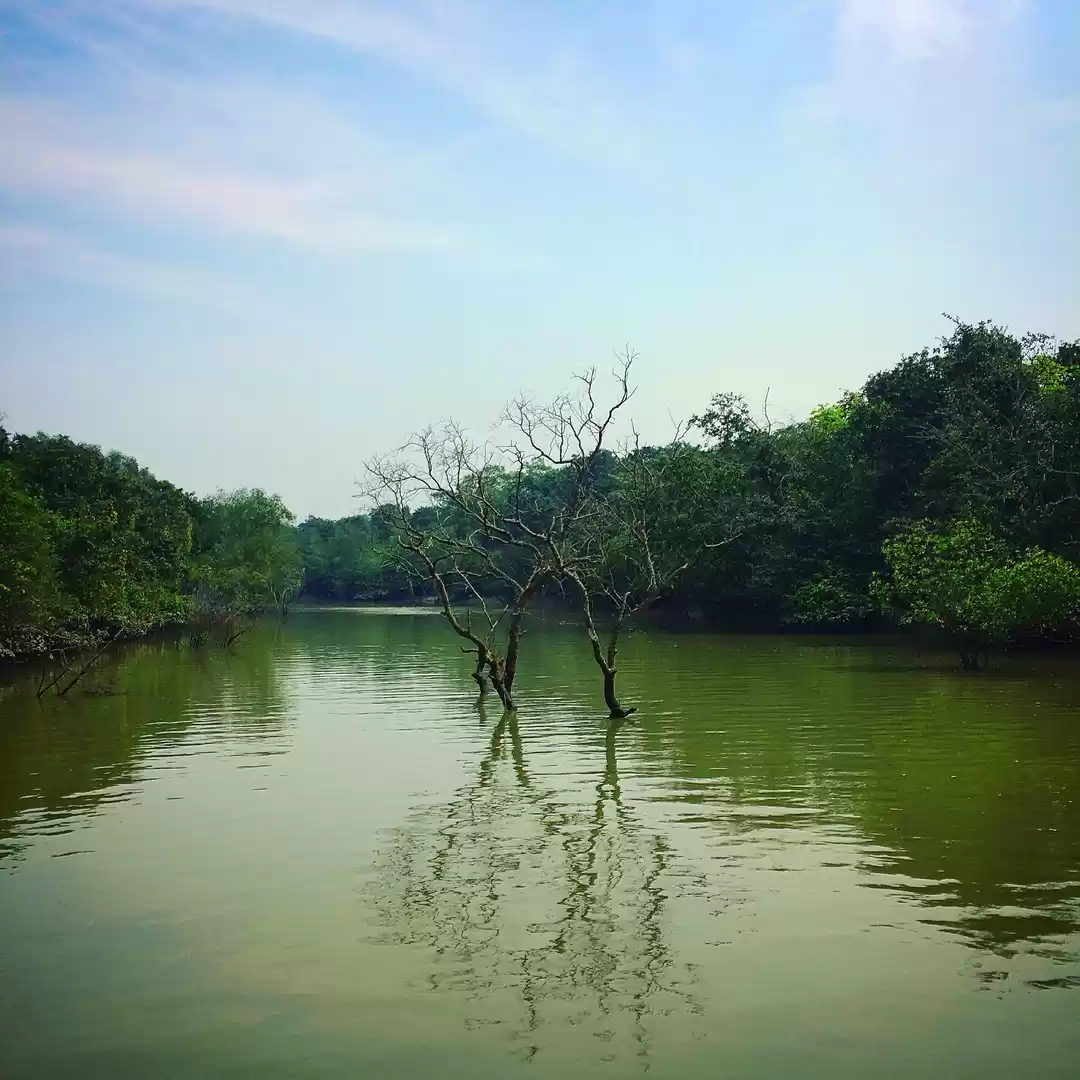 Photo of Bhitarkanika an expl