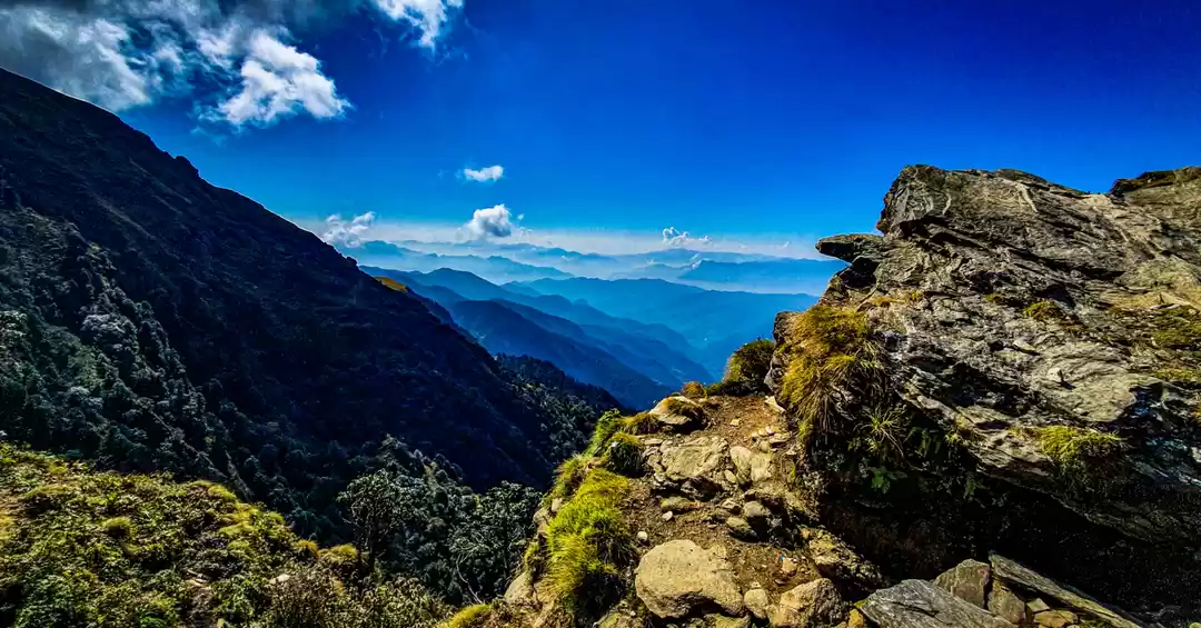 Photo of Chopta: Beauty & The