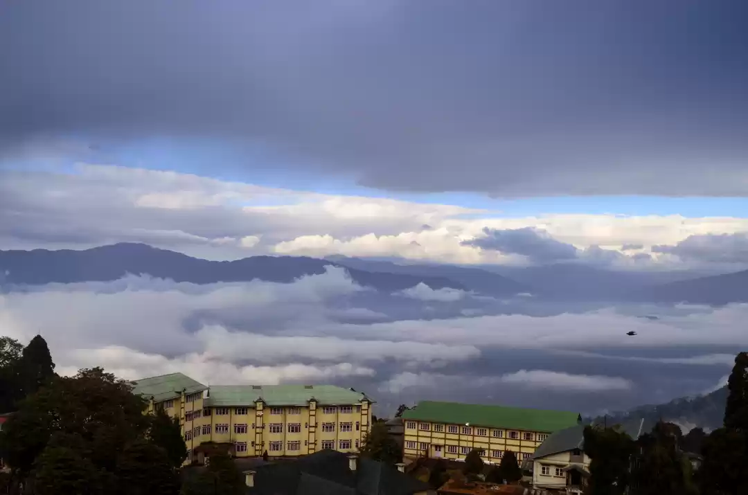 Photo of Sandakphu: A walk th