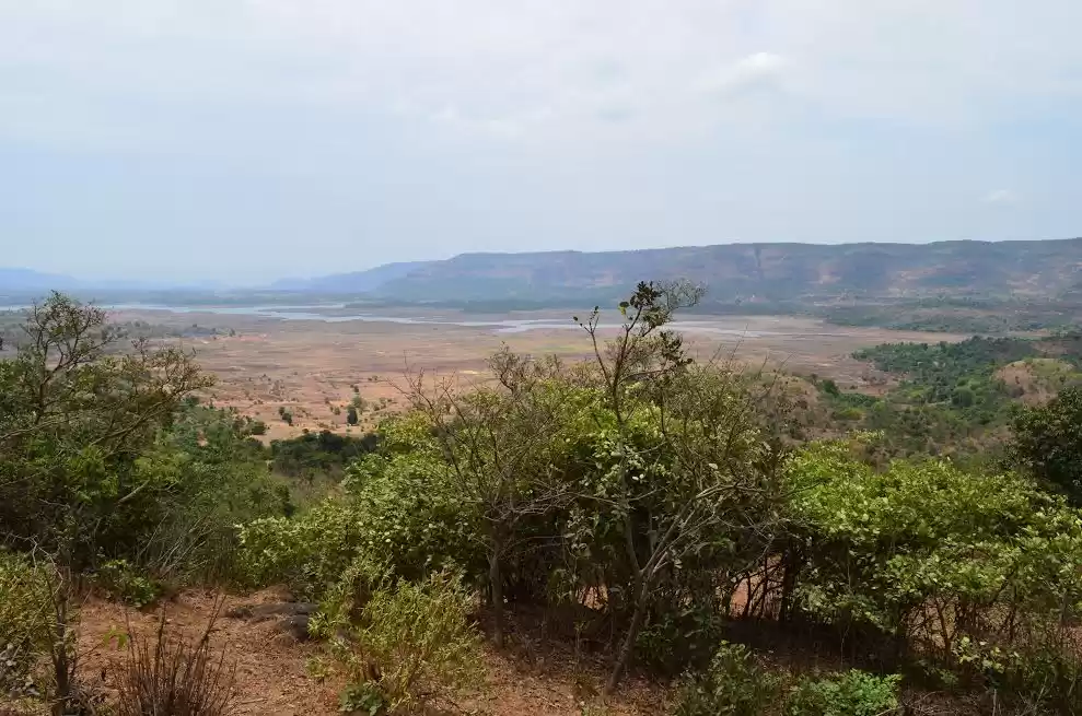 Photo of Nilshi – The Best YM