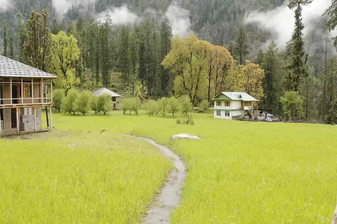 Photo of Kasol: Backpackers p