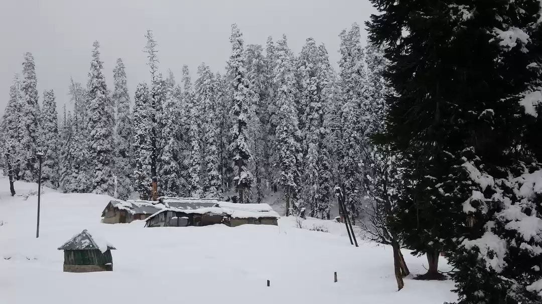 Photo of There is a reason wh