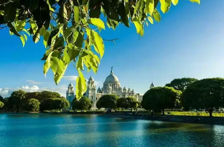 Photo of Open Letter by a Liv