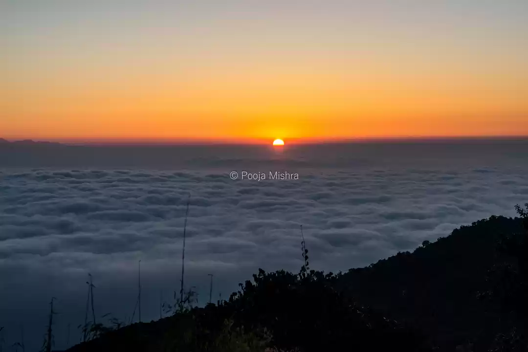 Photo of A Trip to Darjeeling