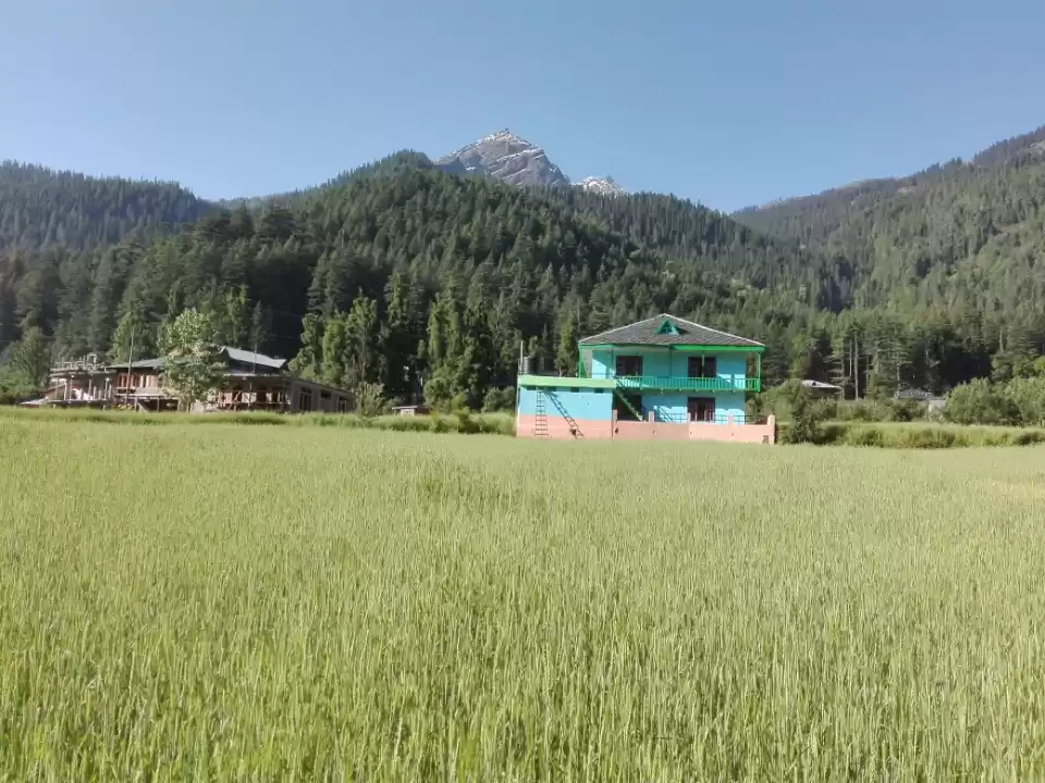 Photo of Call of the majestic