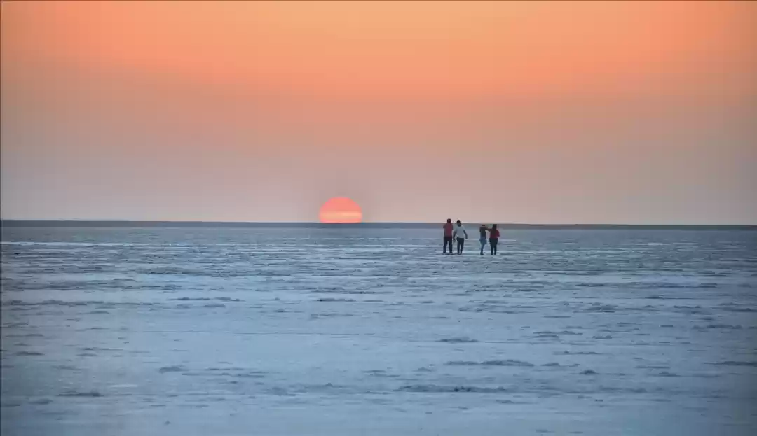 Photo of Call of the Lonely l