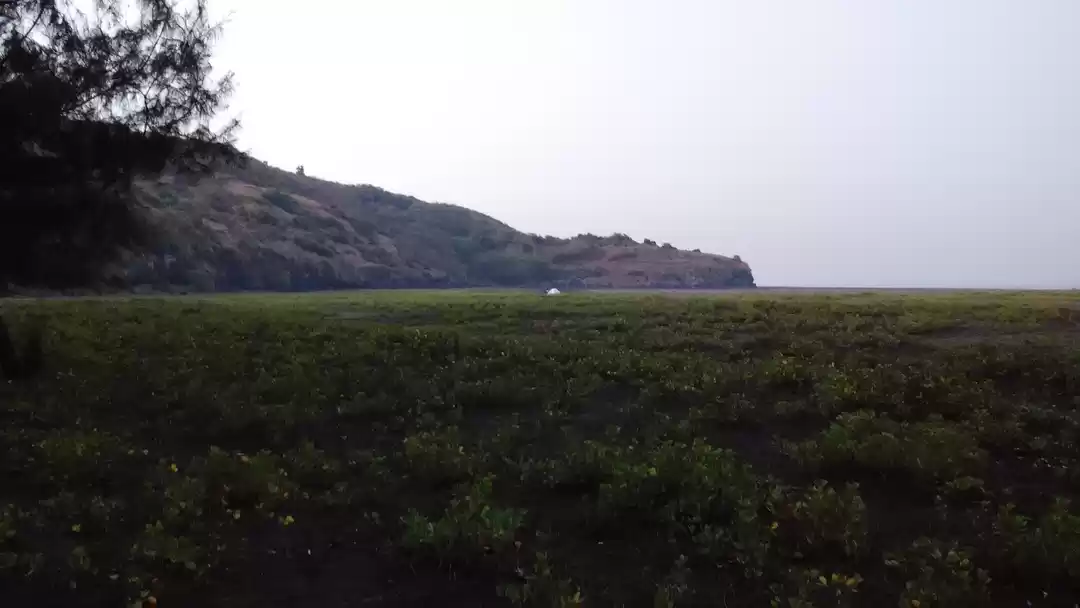 Photo of Velas Turtles Fest 2