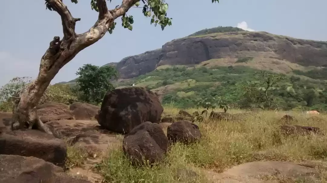 Photo of Raajmachi – Go off-r