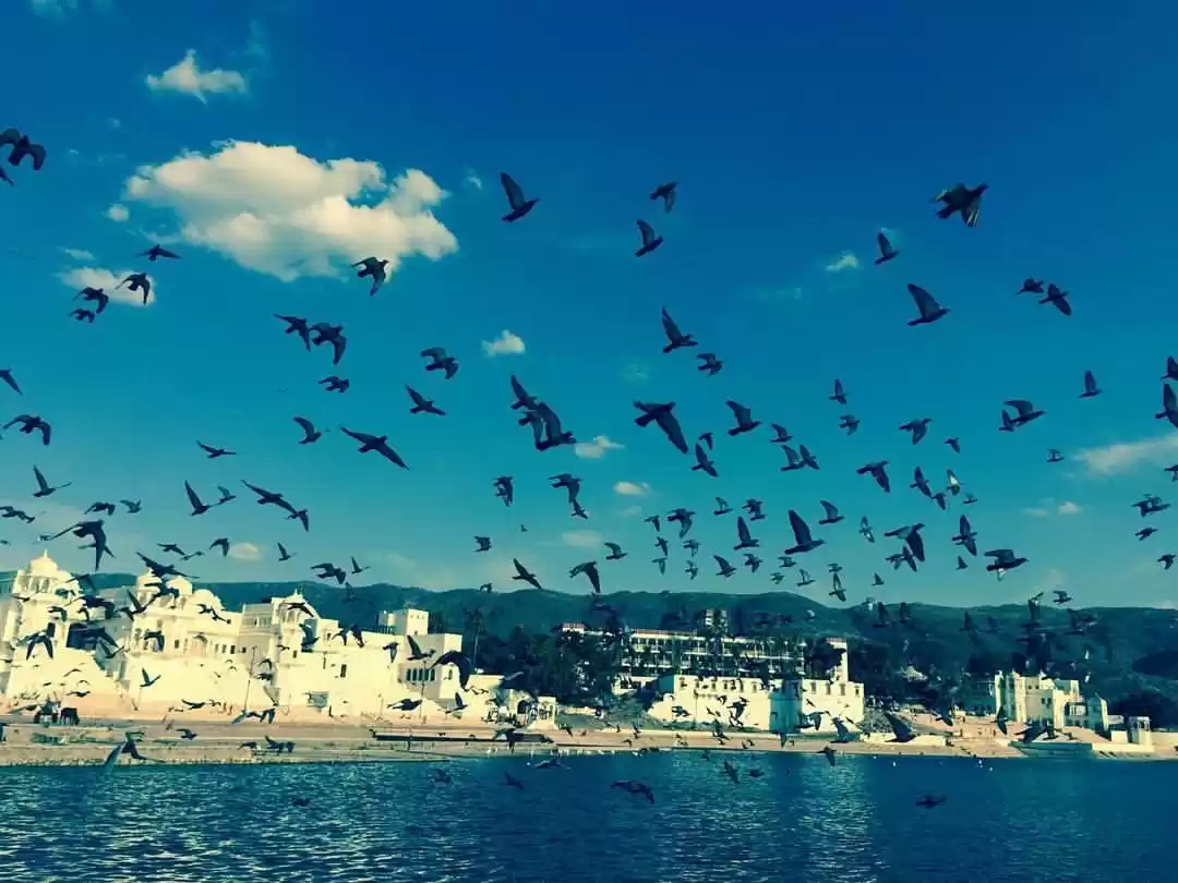 Photo of Pushkar and it's mag