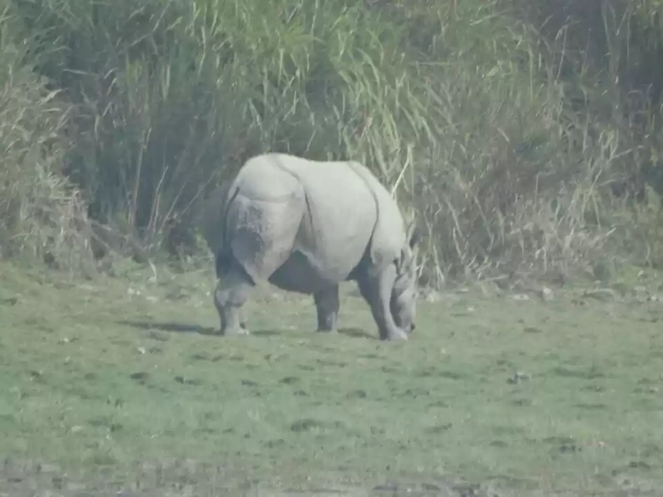Photo of Meghalaya : Wettest 