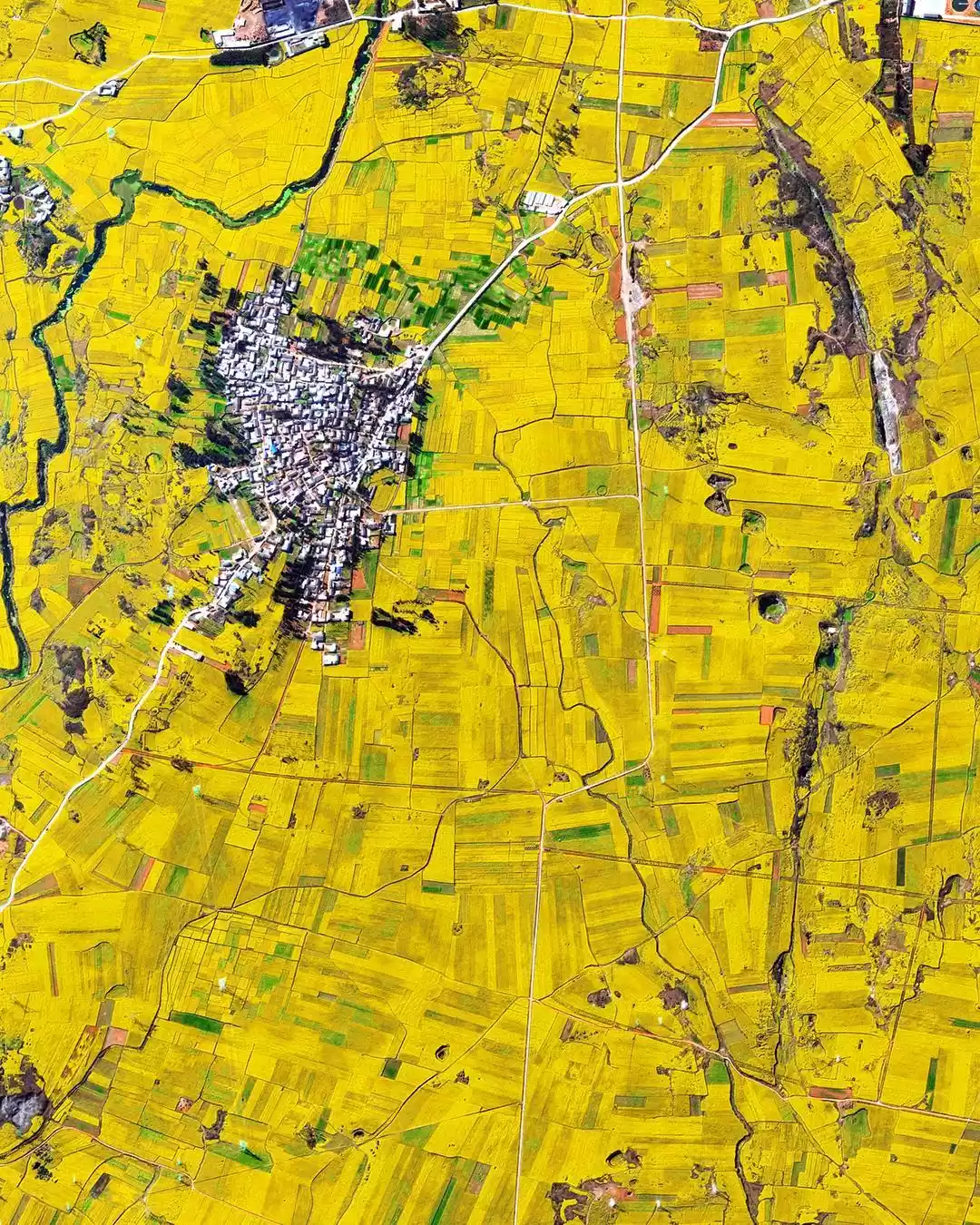 Photo of 10 Instagram profile