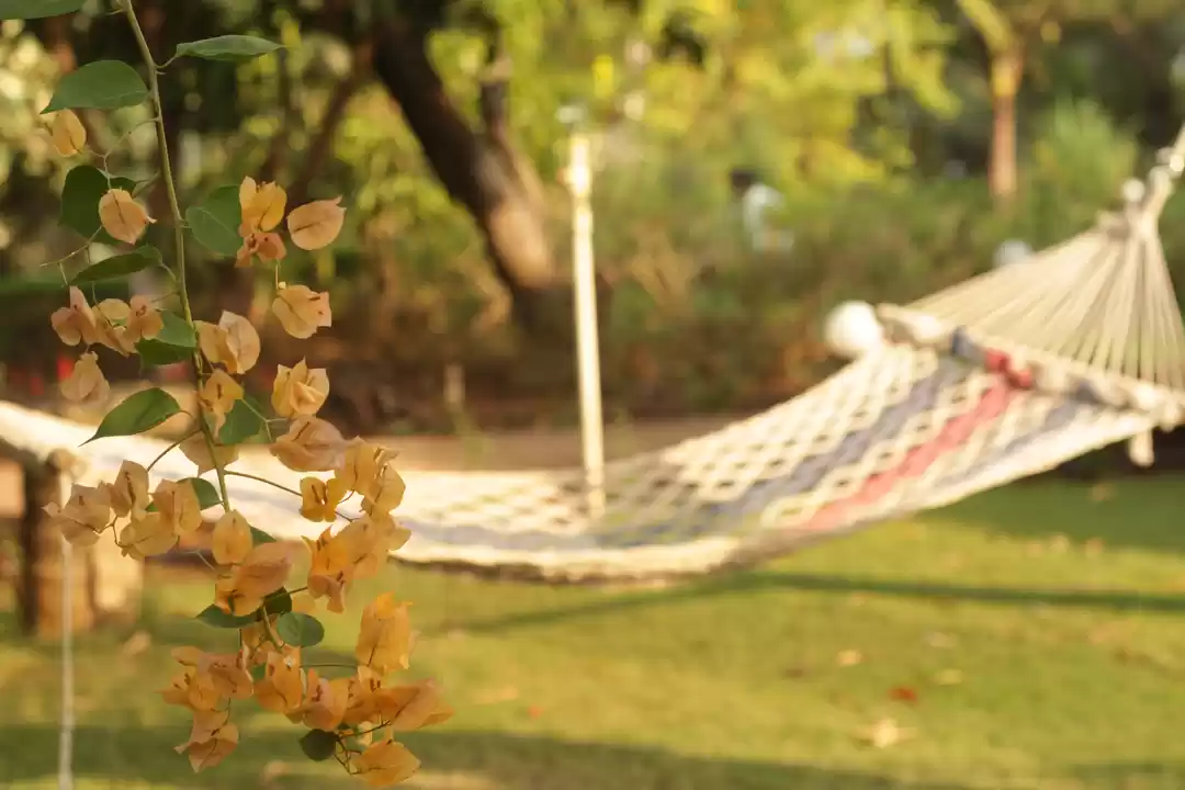 Photo of Chasing breeze - Sid