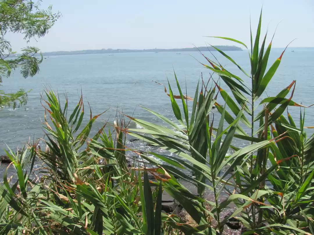 Photo of Goa in pictures – Me