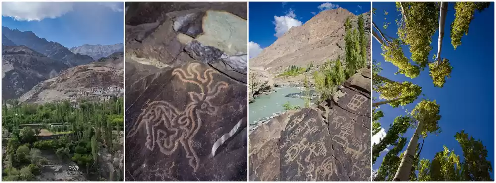 Photo of Hidden treasure of L