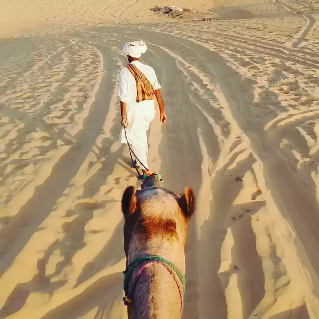 Photo of Padharo Rajasthan on