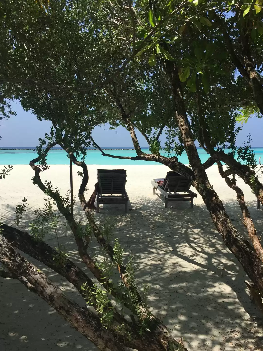 Photo of Maldives: 50 shades 