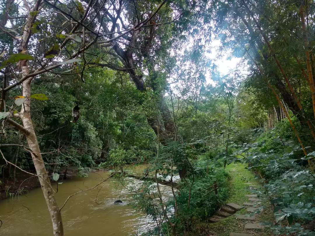 Photo of River Trekking Is A 