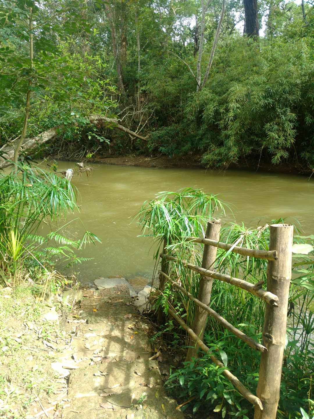 All You Need To Know About River Trekking In Coorg India Tripoto Coorg is extremely rugged across most of its land area. river trekking in coorg