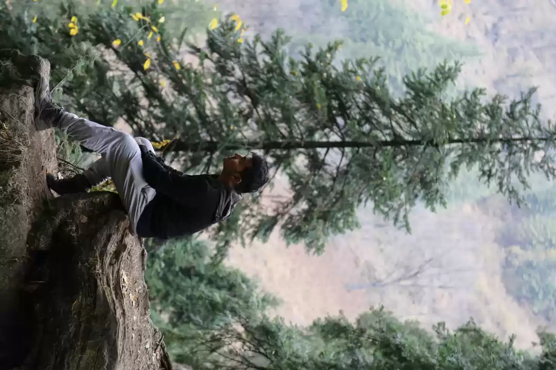 Photo of Manala, kasol, kheer